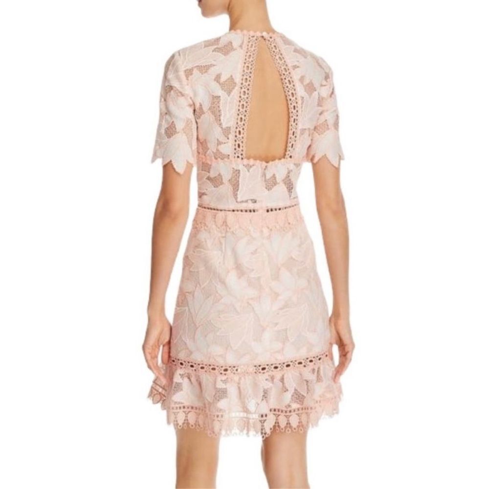 Saylor Birgit Floral Lace Mini Dress Blush Size S - Picture 2 of 12